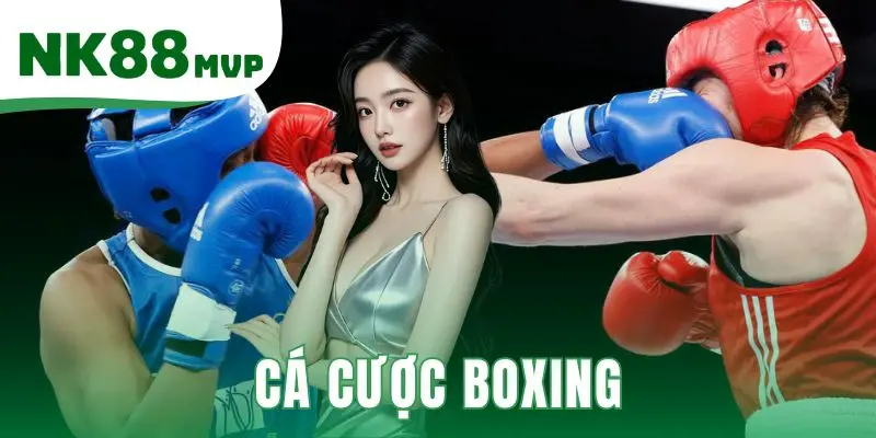 Cá Cược Boxing | Hướng Dẫn 3 Kèo Cược Phổ Biến tại NK88 1 Cá cược boxing
