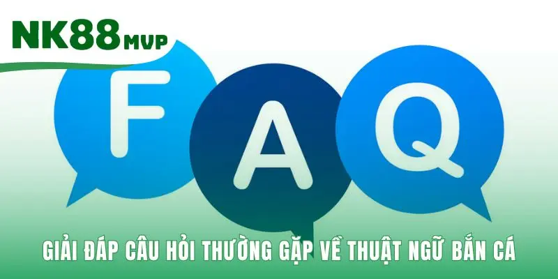 Những câu trả lời nhanh cho các thắc mắc phổ biến của người mới