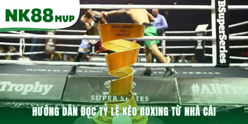 Cá Cược Boxing | Hướng Dẫn 3 Kèo Cược Phổ Biến tại NK88 3 Tỷ lệ kèo giải thích kèo trên kèo dưới qua dấu âm và dương